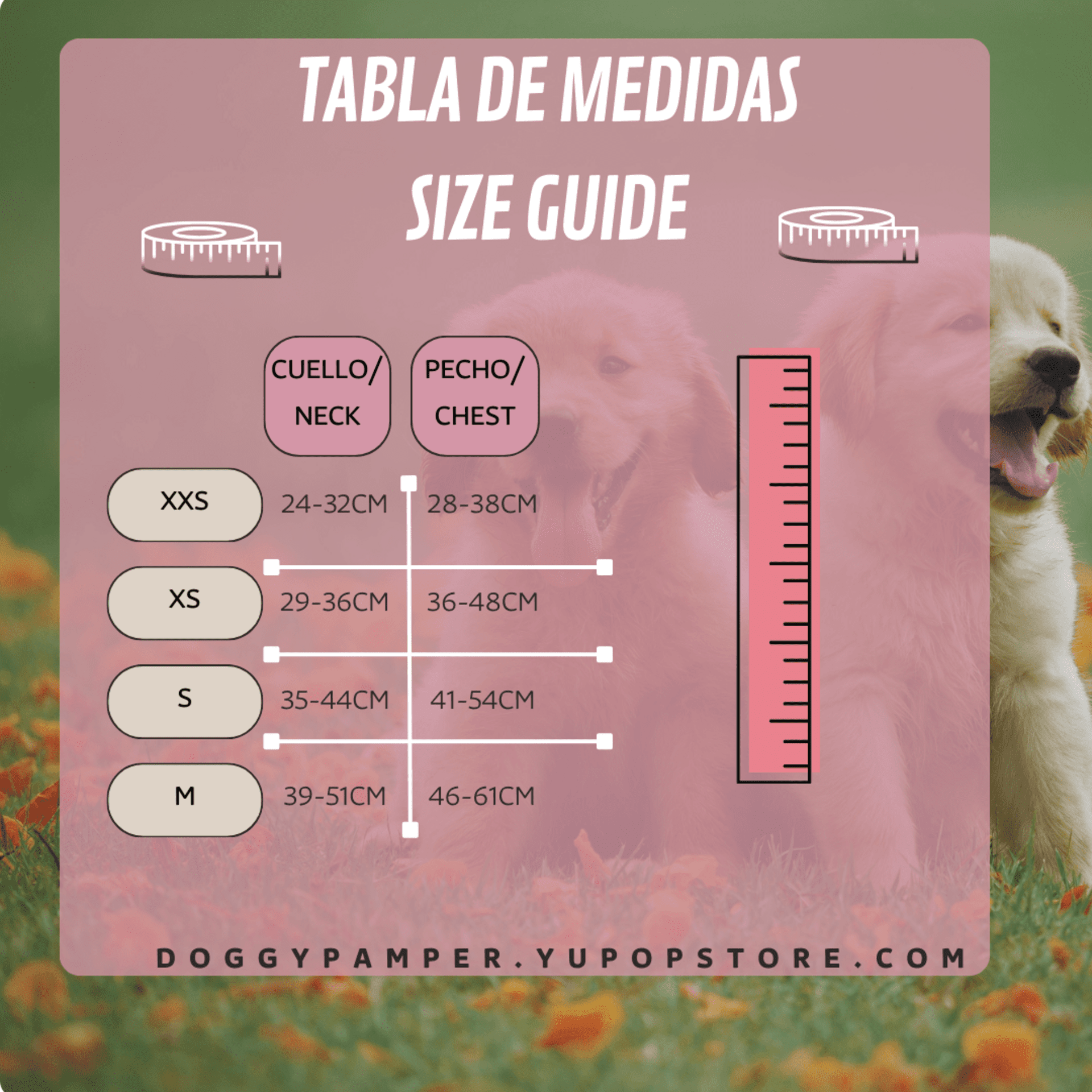 ARNÉS AJUSTABLE SIRENA ?‍♀ - 3